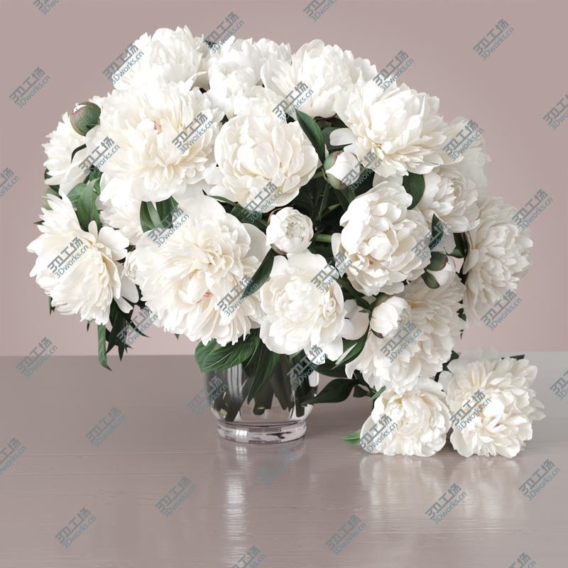 images/goods_img/2021040233/Peonies 2 3D/5.jpg